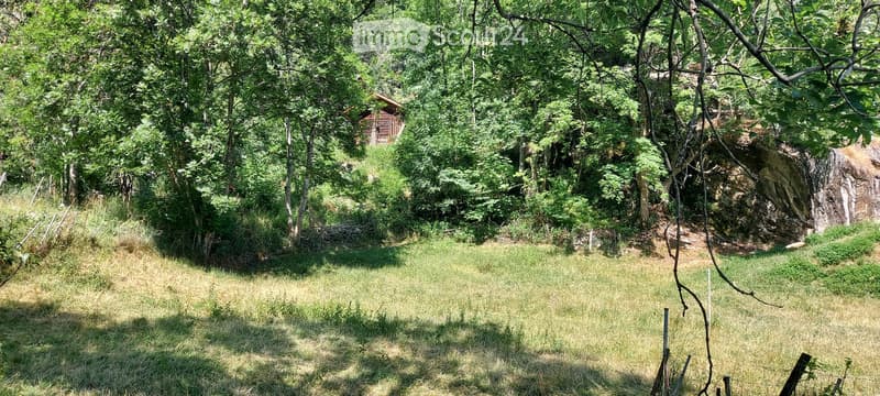 Lush green garden with tall trees, grass, and a small waterfall in the background.