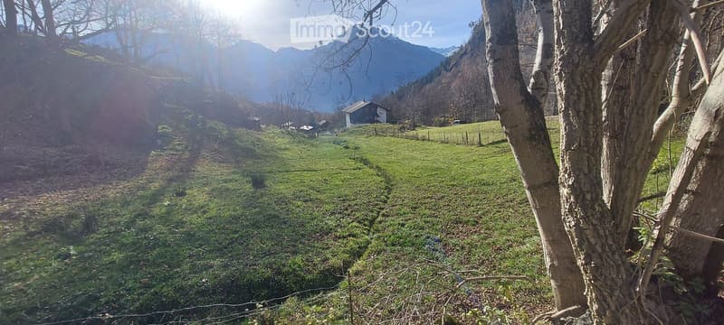 A serene, grassy field with trees and a house in the background, surrounded by mountains under a clear blue sky.
