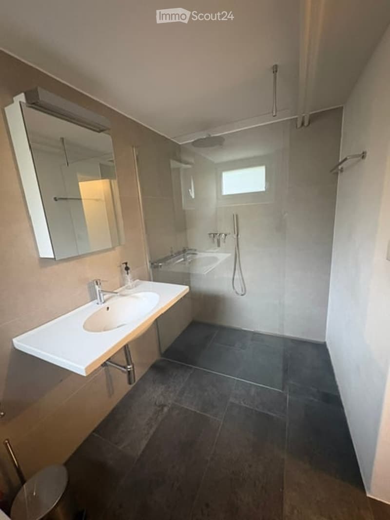 Modern bathroom with a white sink, large mirror, bathtub, and a walk-in shower with a glass enclosure and modern fixtures.