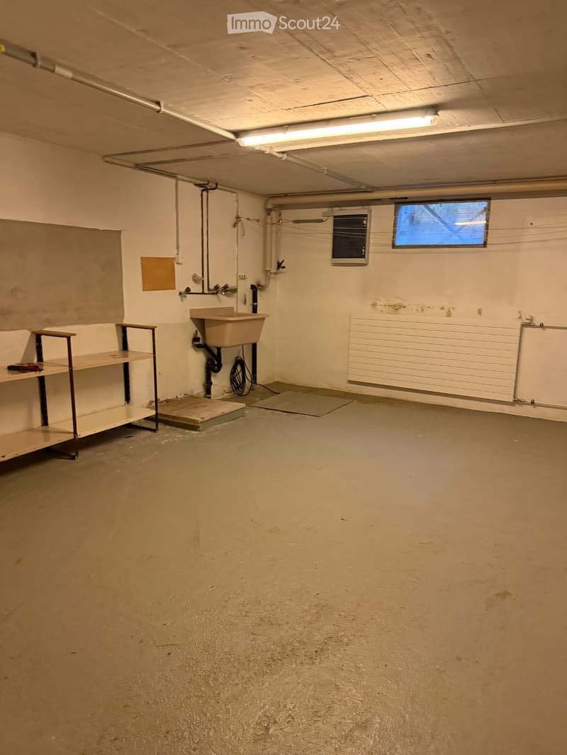 Empty basement room with concrete floor, white walls, exposed pipes, a small sink, a shelf, and a window.