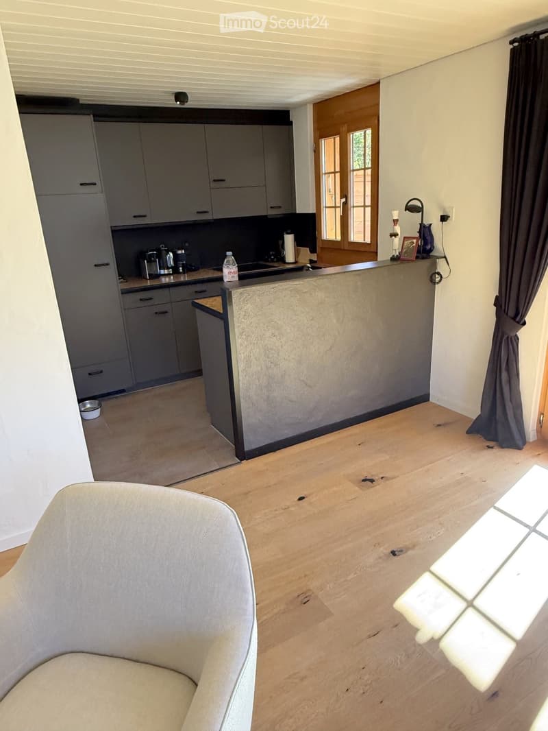 A modern, open-plan living and kitchen area with grey cabinets, a central island, a sofa, and various kitchen appliances.