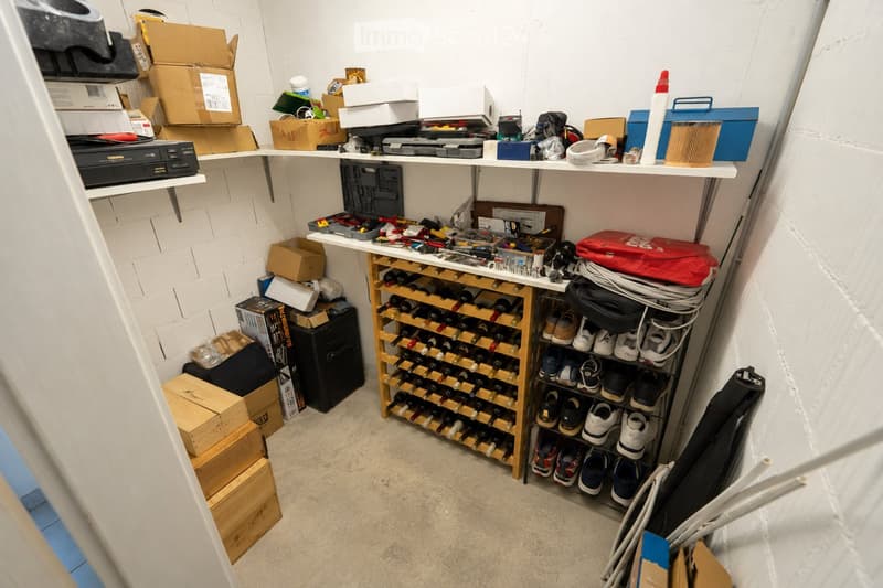 A well-organized storage room with a wine rack, shoe rack, shelves filled with tools and boxes, and various storage items.