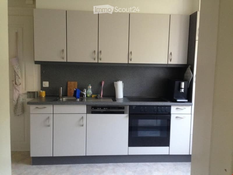 Modern kitchen with light grey cabinets, stainless steel sink, oven, dishwasher, coffee maker, and various small items on the counter.