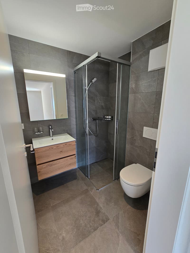 Modern bathroom with dark grey tiles, a wooden vanity with a sink, a large mirror, a glass-enclosed shower, and a toilet.