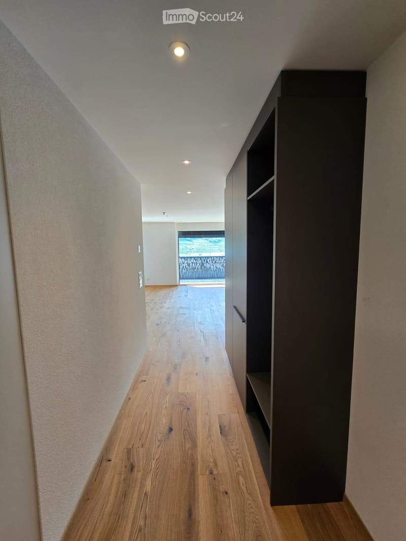 Modern hallway with light wooden flooring, white walls, and recessed ceiling lighting. Features a dark-toned built-in shelving unit on one side and a large window at the end providing natural light.