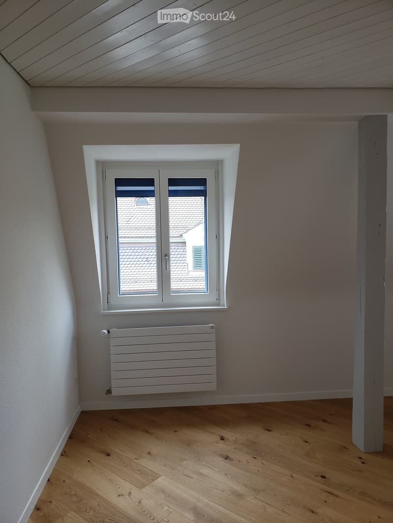 Empty attic room with wooden flooring, white walls, a white radiator, and a skylight window showing a neighboring roof.