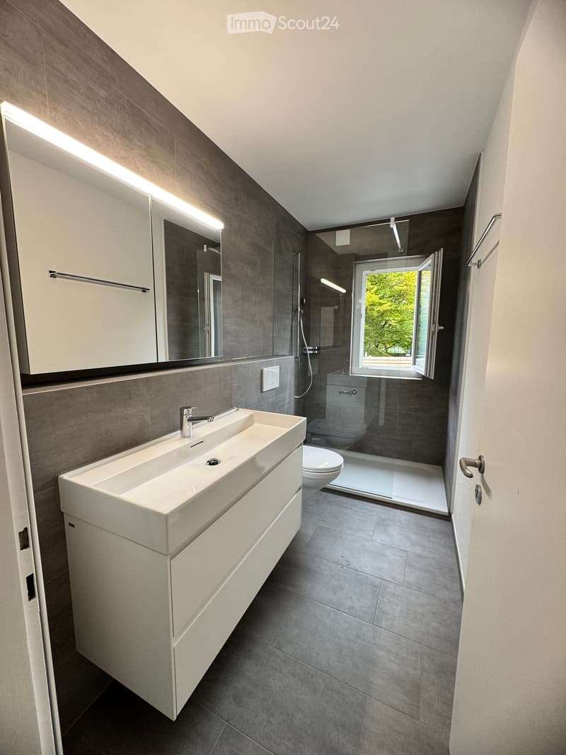 Modern bathroom with a white sink, chrome faucet, large mirror, toilet, and a glass-enclosed shower. The space features grey tiles and a window with a view of greenery.