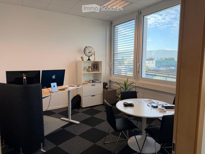 Office space with a standing desk, two computer screens, a round meeting table with chairs, a shelf with decorative items, and a potted plant near the window.
