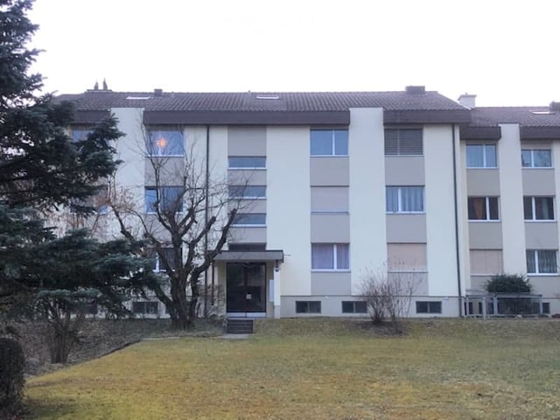 Gemütliche 1.5-Zimmer-Wohnung für Singlepersonen (9)