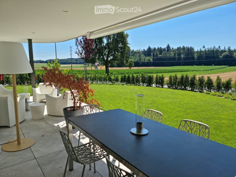 Outdoor patio with a black dining table, white chairs, white sofa, and a potted plant, overlooking a green lawn and countryside view.