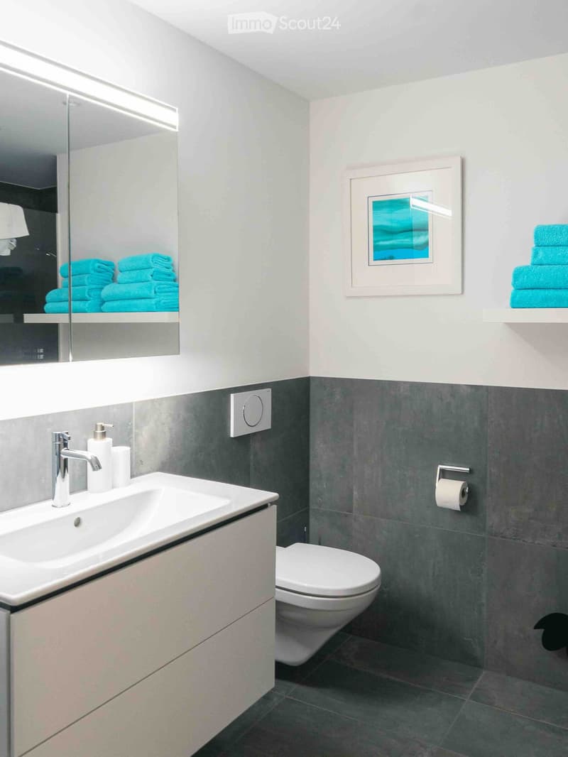 Modern bathroom with a white sink, chrome faucet, toilet, large mirror, and neatly stacked blue towels on shelves.