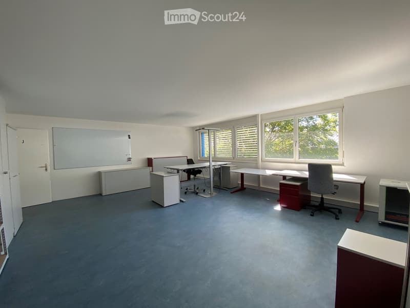 Office space with multiple desks, chairs, cabinets, and a large screen, illuminated by natural light from large windows.