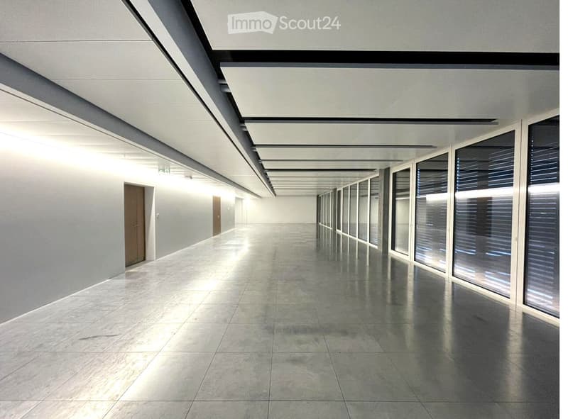 Modern, minimalist corridor with polished concrete floors, white walls, and large glass windows on one side, leading to multiple doors.