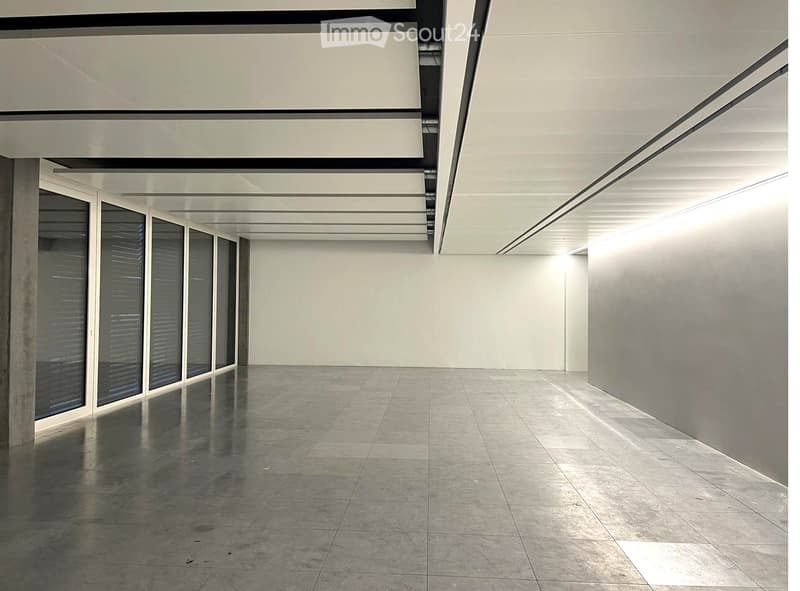 Empty room with polished concrete floor, white walls, large windows, and a modern ceiling with linear lighting fixtures.