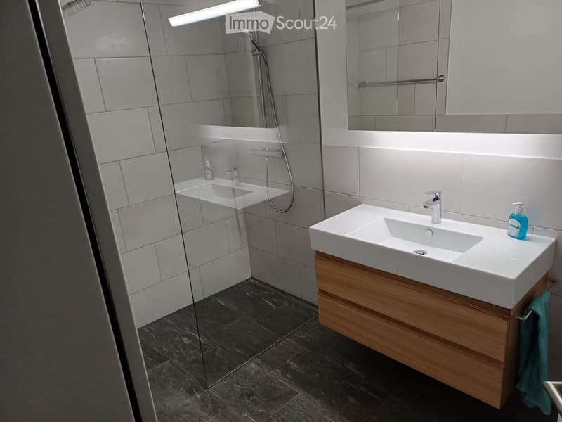 Modern bathroom with a white sink, wooden cabinet, mirror, and glass-enclosed shower area.