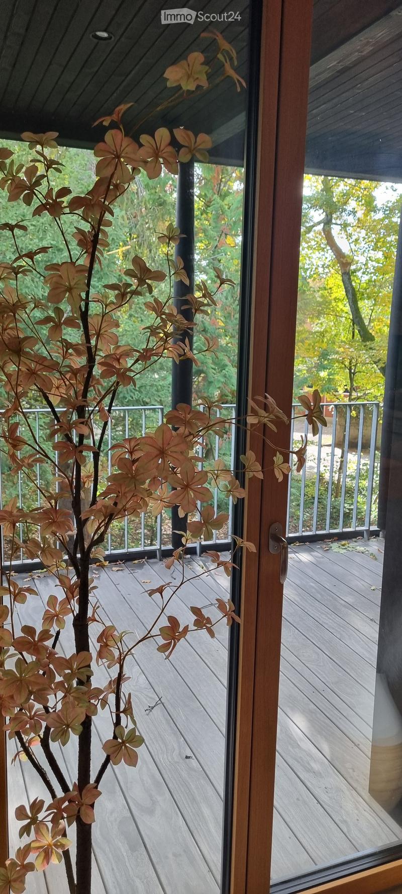Wooden deck with metal railing, visible through a large window with wooden frame, surrounded by greenery and autumn leaves.