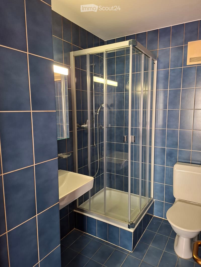 Modern bathroom with blue tiled walls and floor, featuring a glass-enclosed shower, a white toilet, a sink, and a mirror.