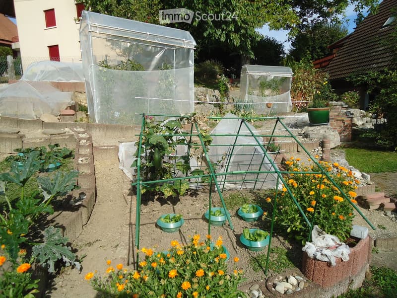 Garden with raised beds, green trellis, potted plants, and small greenhouses.
