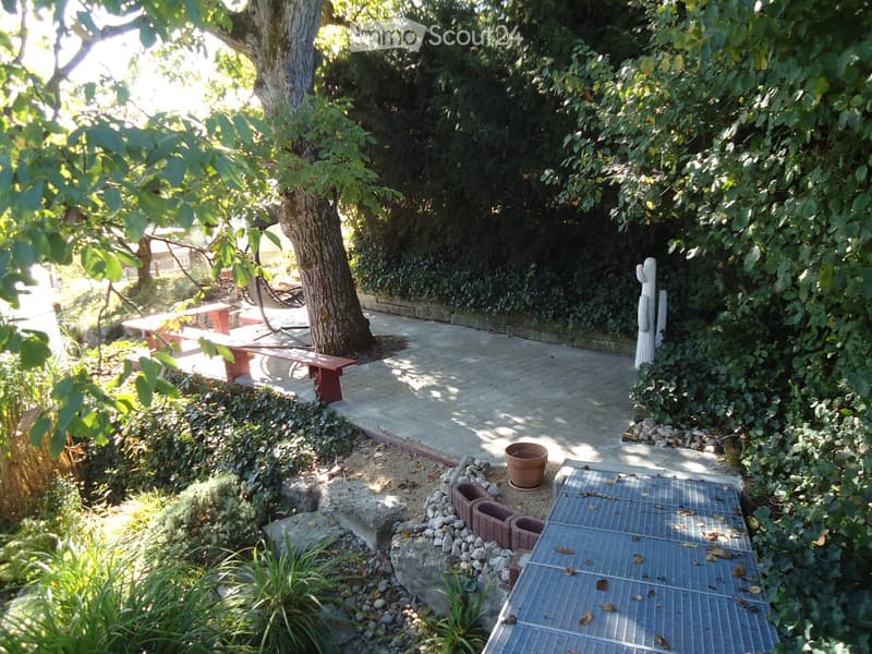 Garden area with a paved pathway, benches, a tree, and various plants and decorative elements.