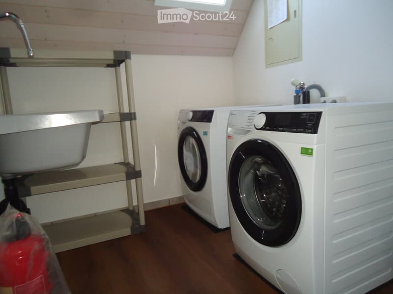 Bathroom with wooden flooring, white walls, a washing machine, a sink with a faucet, and a small shelf unit.