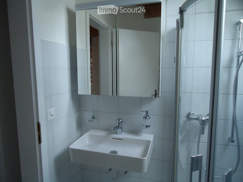 Modern bathroom with white tiles, a white sink with a chrome faucet, a mirrored cabinet, and a glass-enclosed shower area.