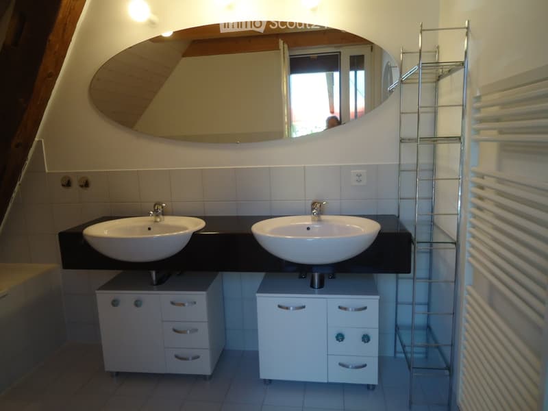 Modern bathroom with double sink vanity, mirrored cabinet, and built-in storage cabinets.