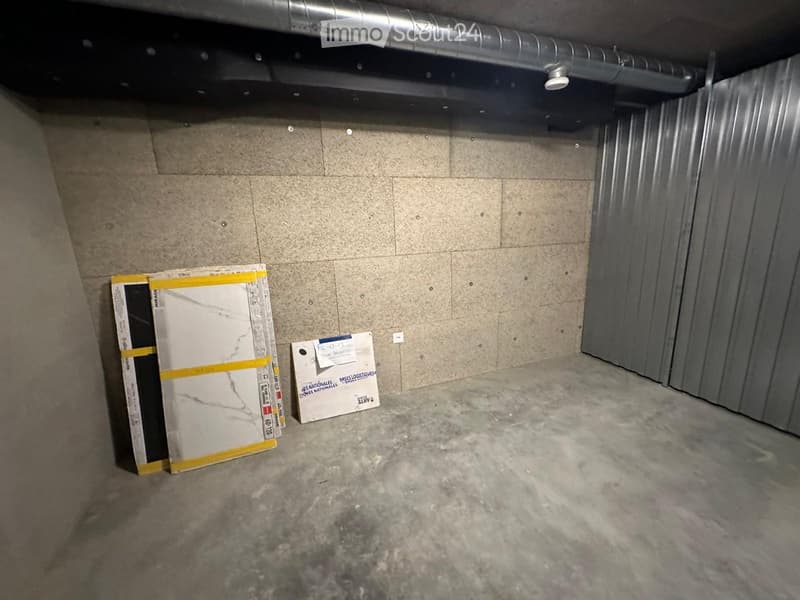 Attique lumineux et calme 3 pièces avec terrasse à Troinex - location courte durée jusqu'à juin 2027 (11)