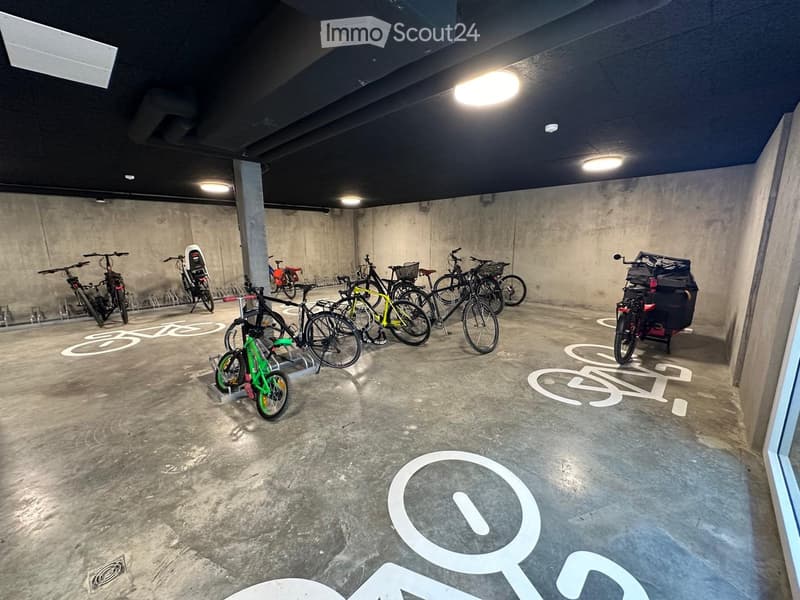 Attique lumineux et calme 3 pièces avec terrasse à Troinex - location courte durée jusqu'à juin 2027 (13)