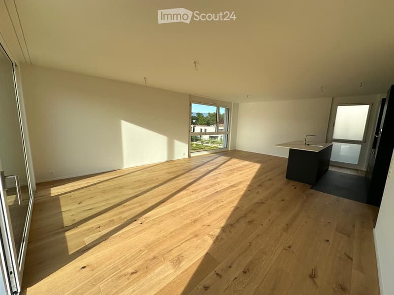 Attique lumineux et calme 3 pièces avec terrasse à Troinex - location courte durée jusqu'à juin 2027 (8)