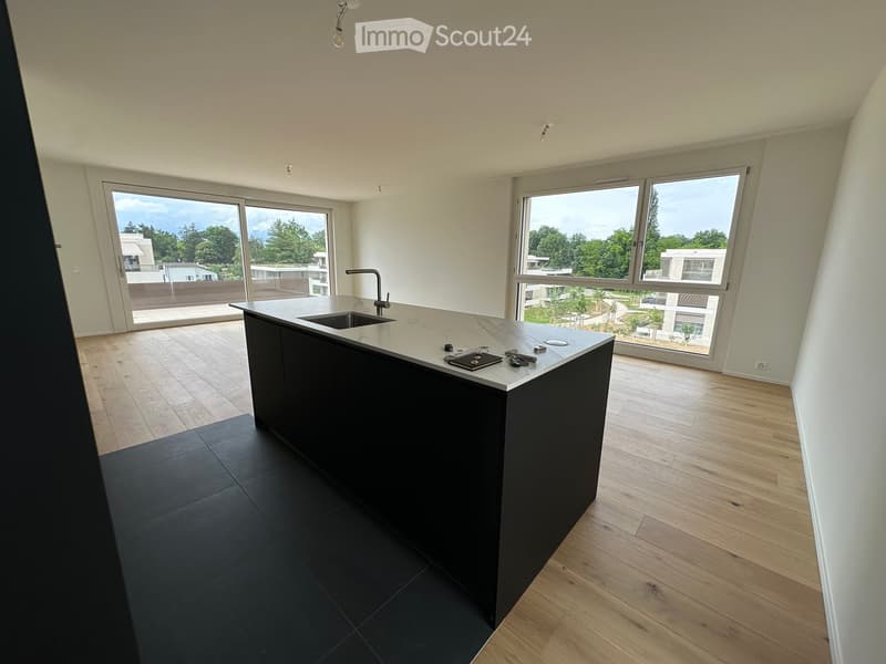 Attique lumineux et calme 3 pièces avec terrasse à Troinex - location courte durée jusqu'à juin 2027 (2)