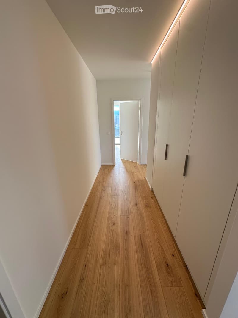 Attique lumineux et calme 3 pièces avec terrasse à Troinex - location courte durée jusqu'à juin 2027 (6)
