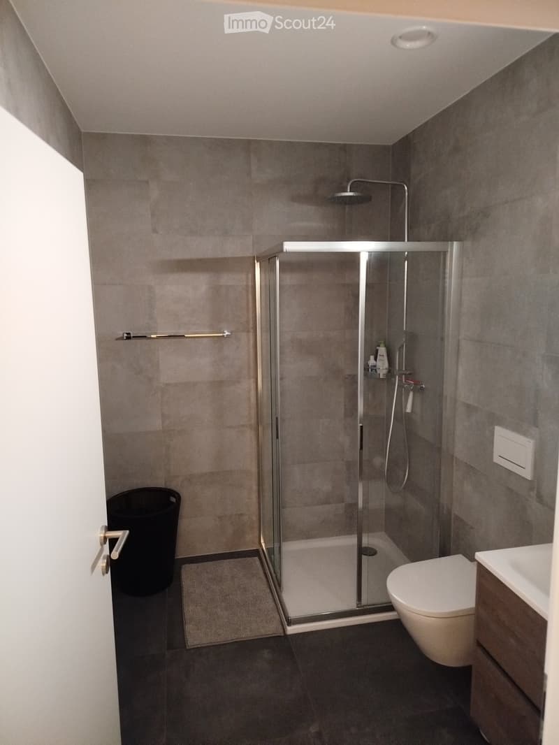 Modern bathroom with a glass-enclosed shower, toilet, and a small cabinet. The walls are tiled in a neutral gray color, and the floor is dark gray.