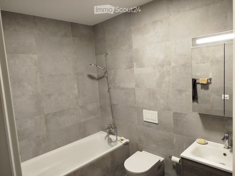 Modern bathroom with grey tiled walls, a bathtub, toilet, sink, mirror, and a showerhead.