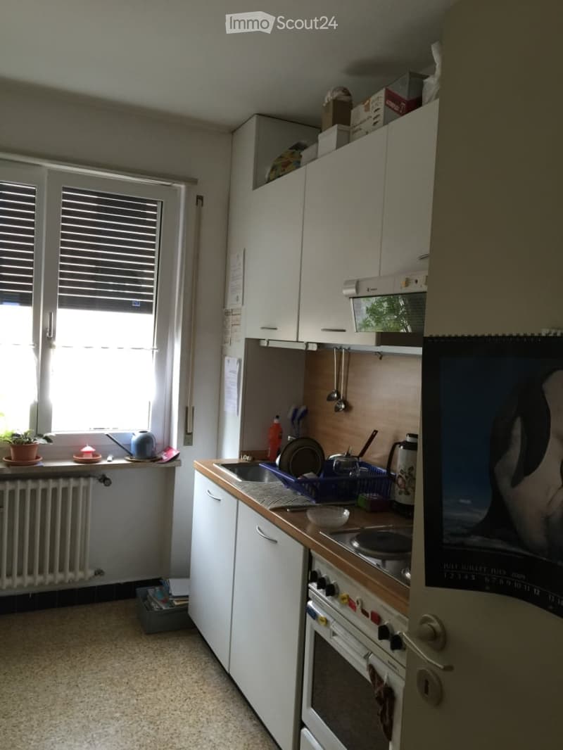A compact kitchen with white cabinets, a sink, an oven, and a refrigerator. The counter has a dish rack, a bowl, a cup, and a bottle. A small plant and a candle sit on the windowsill, and a radiator is below the window.