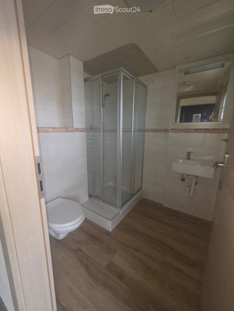 Modern bathroom with wooden flooring, white tiled walls, a glass-enclosed shower, a toilet, a sink, and a mirror above the sink.