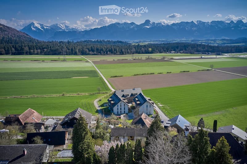 Aerial view of a rural village with houses, green fields, and a backdrop of snow-capped mountains.