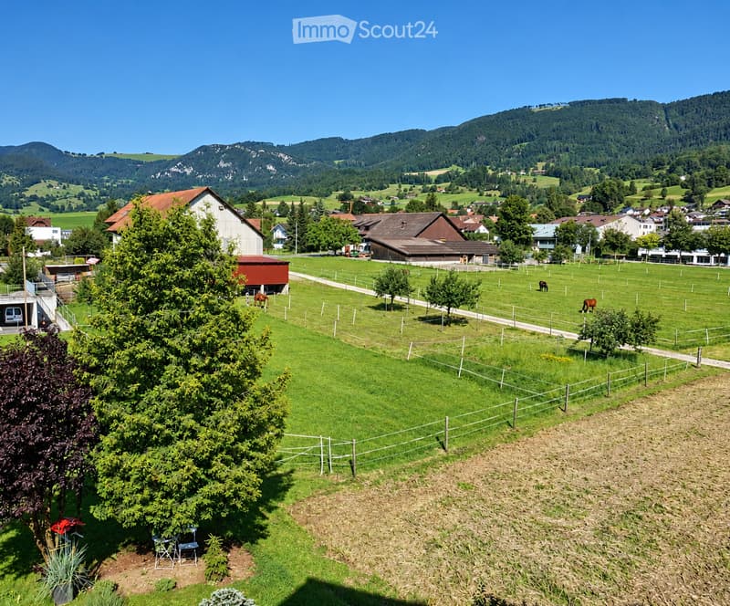 A scenic rural landscape with green fields, grazing horses, scattered trees, and a few buildings in the distance under a clear blue sky.