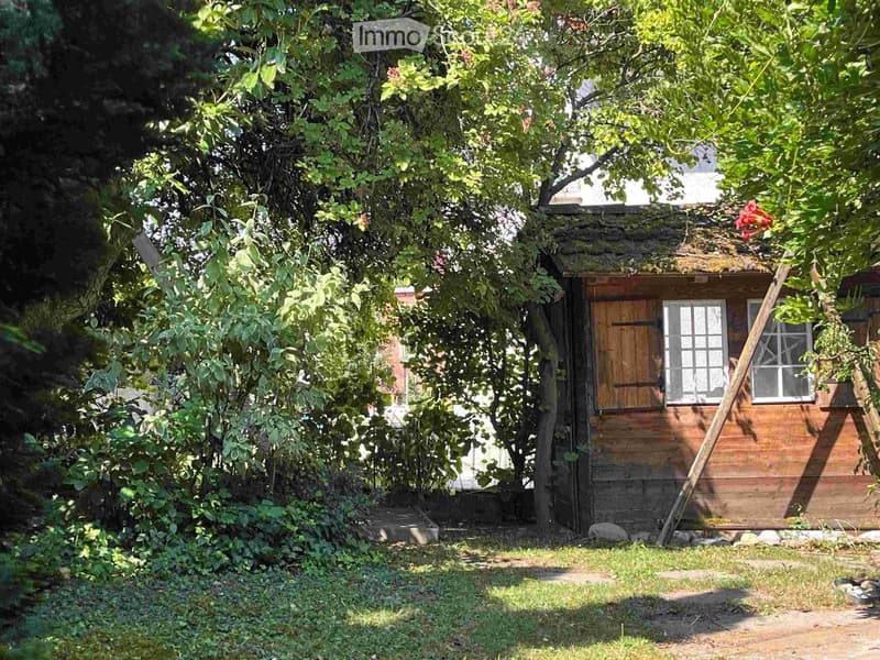 A small wooden shed with a thatched roof is surrounded by lush greenery, including trees and bushes, in a garden setting.