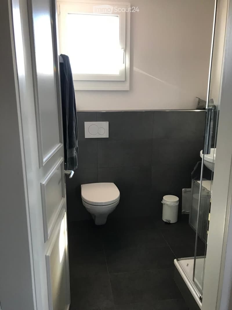 Modern bathroom with dark tiles, white toilet, sink, and a glass-enclosed shower. A towel hangs on the wall, and a small trash bin is visible.