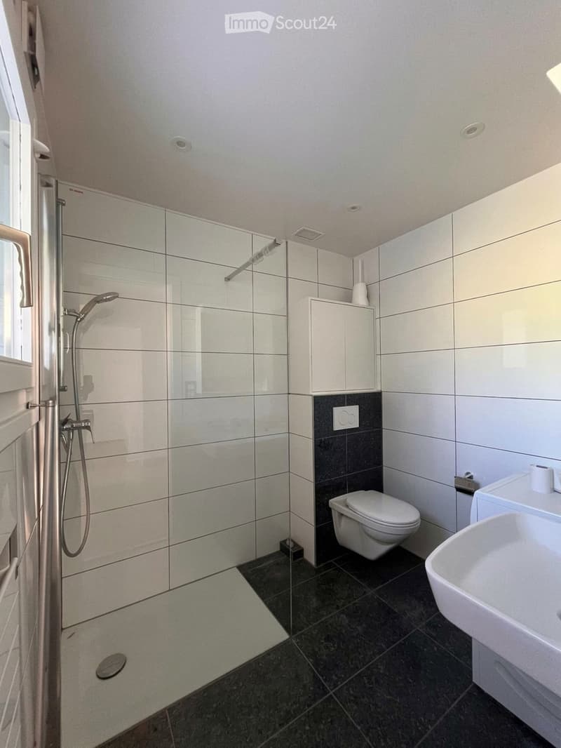 Modern bathroom with white tiles, black accents, a glass-enclosed shower, toilet, sink, and a small cabinet.