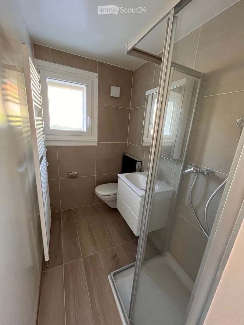 Modern bathroom with wooden flooring, a white bathtub, a toilet, a glass-enclosed shower, and a radiator.