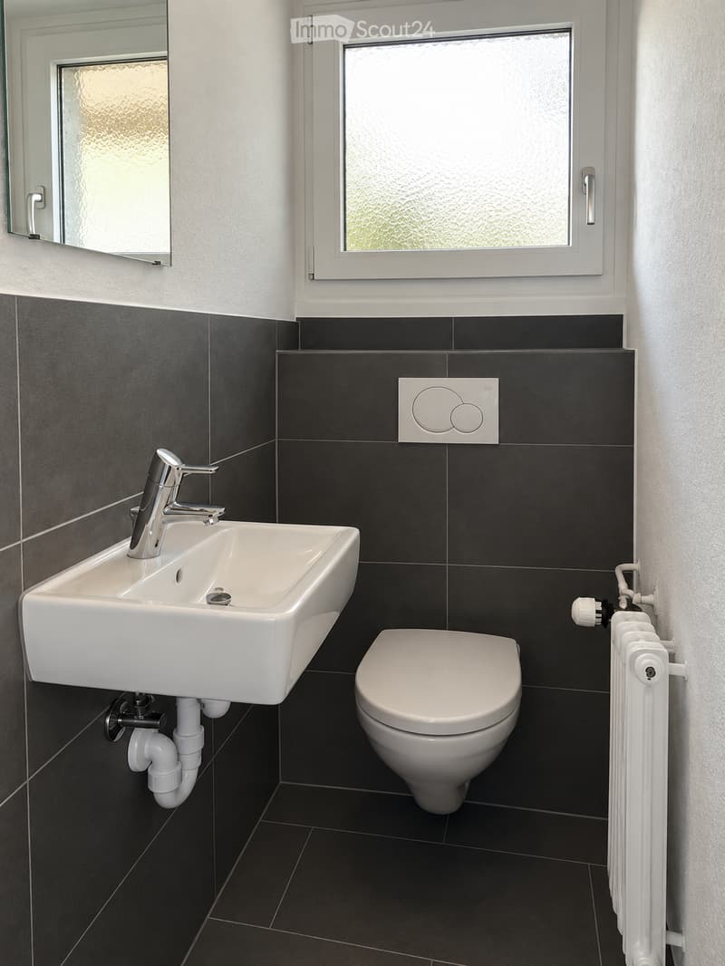 Modern bathroom with black tiled walls and floor, white sink with chrome faucet, toilet, radiator, and a mirror on the wall.