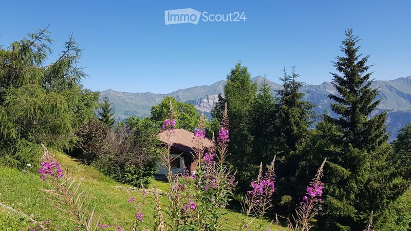 A serene garden area with lush greenery, purple flowers, and a small house nestled among trees, with a picturesque mountain range in the background.