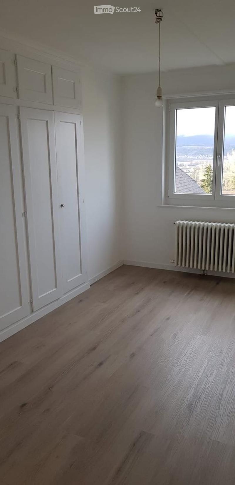 Empty room with light wooden flooring, white walls, built-in white cabinets, a radiator, and a large window offering a view.