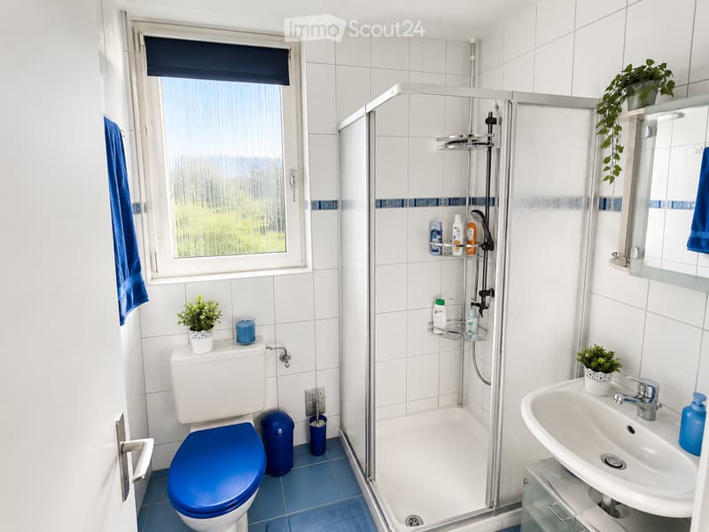 Modern bathroom with white tiles, blue accents, a toilet, sink, shower, and small plants on shelves.