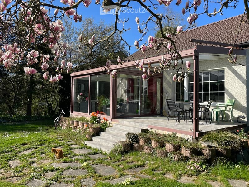 Garden with a raised patio area, outdoor furniture, and blooming magnolia tree. The patio has a table and chairs, and the garden features steps leading up to the house.