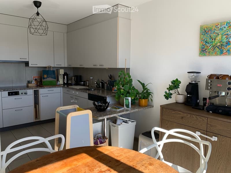 Modern kitchen with white cabinets, granite countertop, wooden dining table with white chairs, coffee machine, potted plants, and various kitchen appliances.