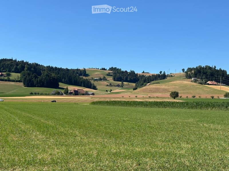 A wide, open green field with scattered trees, small farmhouses, and distant hills under a clear blue sky.
