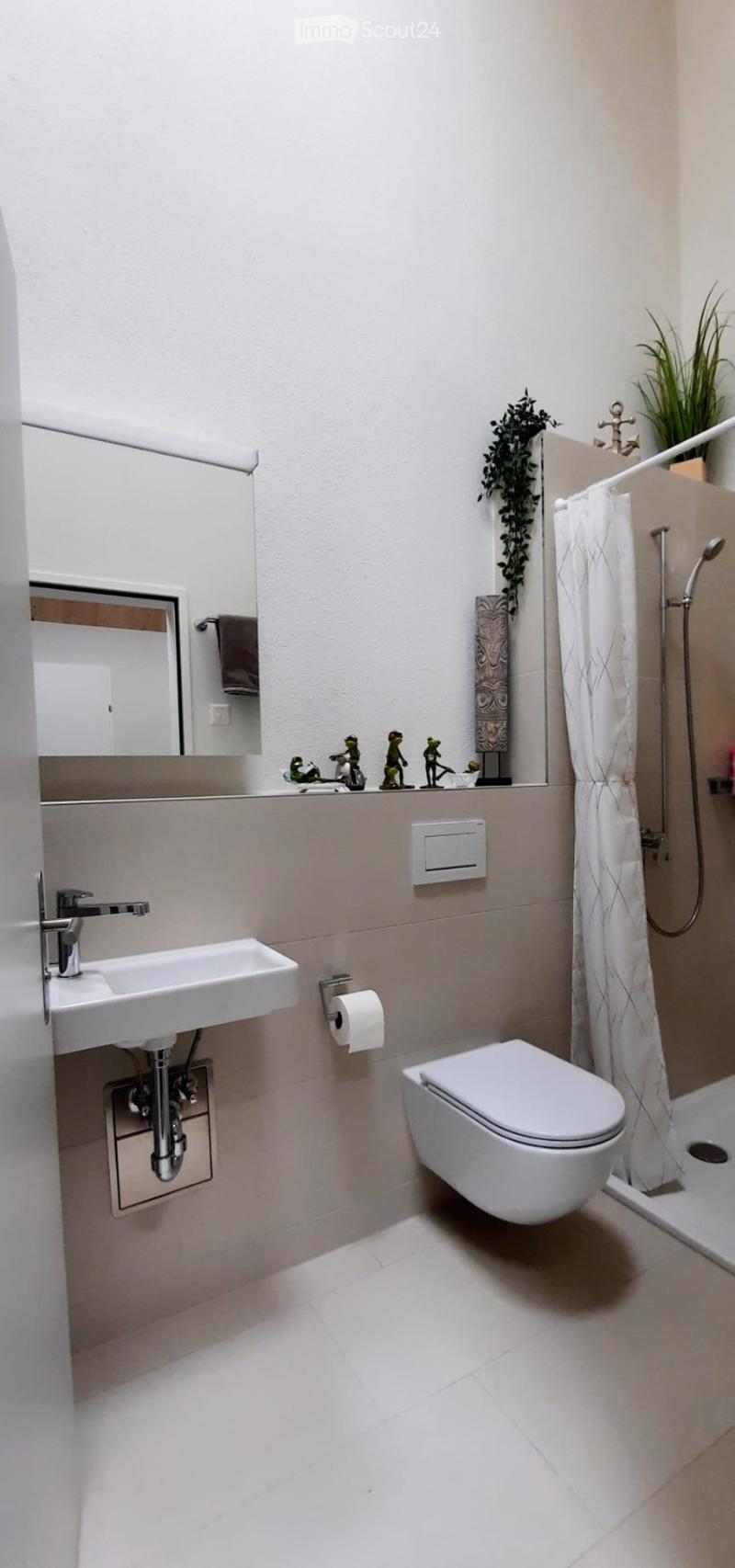 Modern bathroom with white tiles, a sink, toilet, mirror, and a shower area with a curtain. Decorative items and a plant are placed on the shelf above the sink.