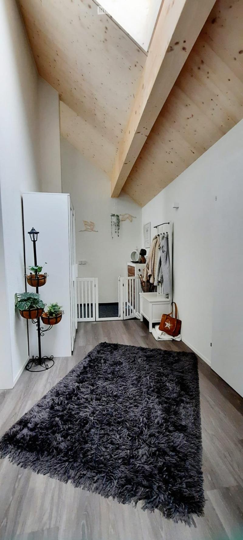 A modern, well-lit hallway with wooden flooring, a large shaggy rug, coat rack, plant stand, and a small table with a chair and handbag.